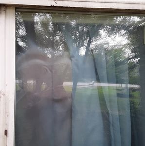 Meet your Posher, Paul